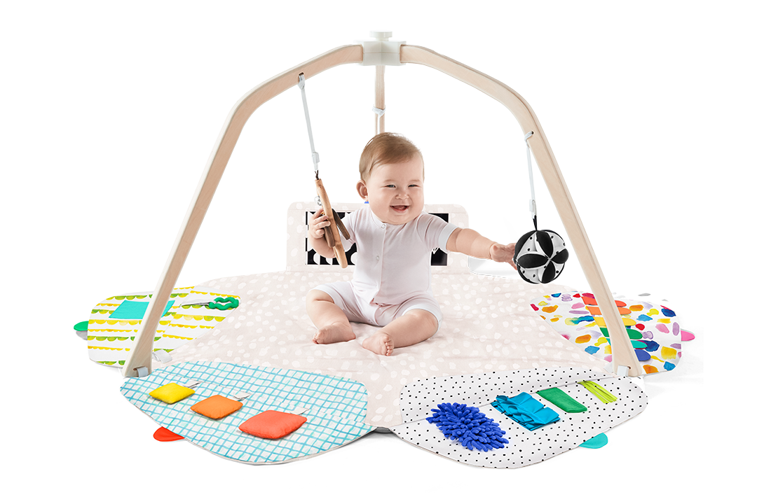 The Ultimate Play Gym