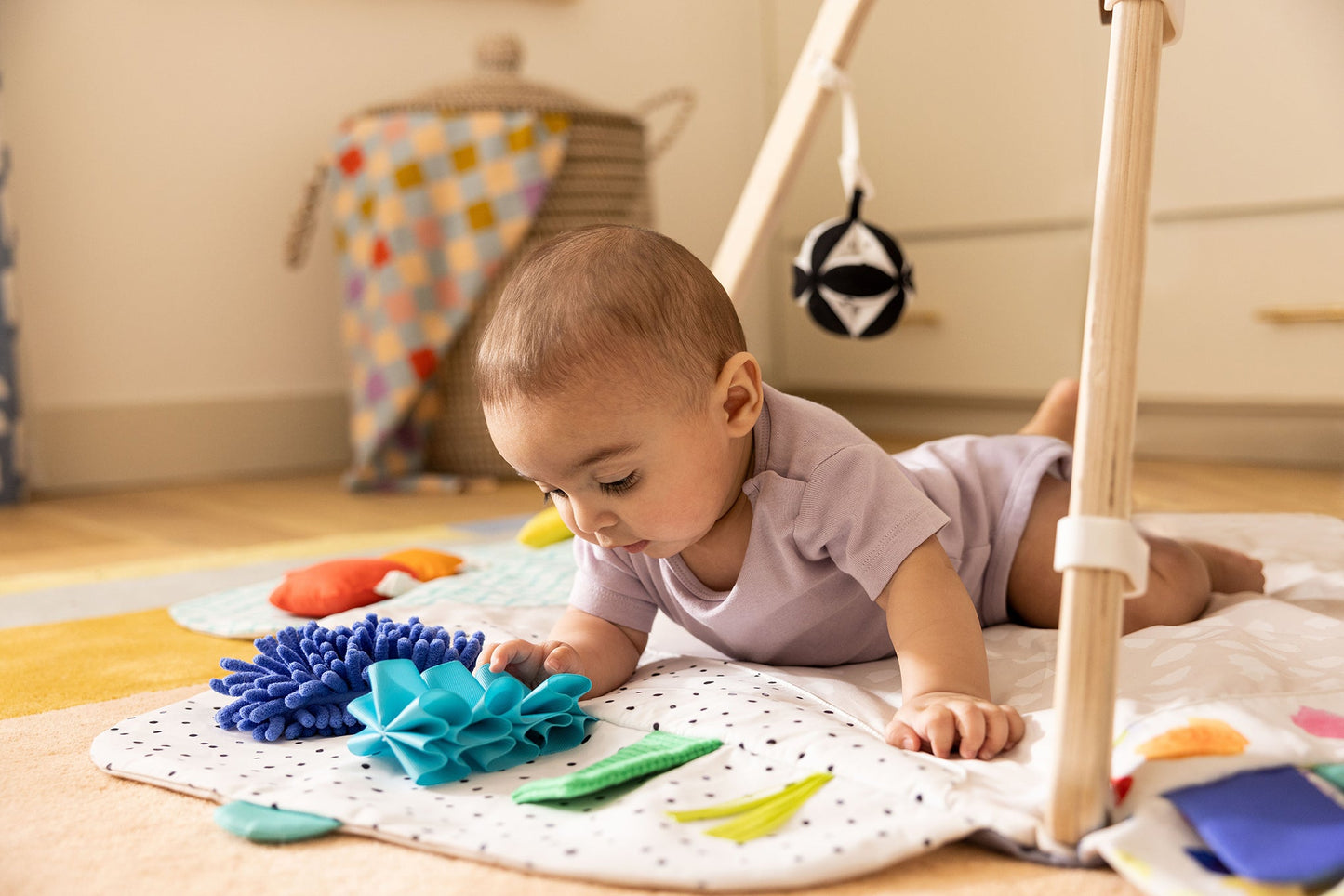 The Ultimate Play Gym