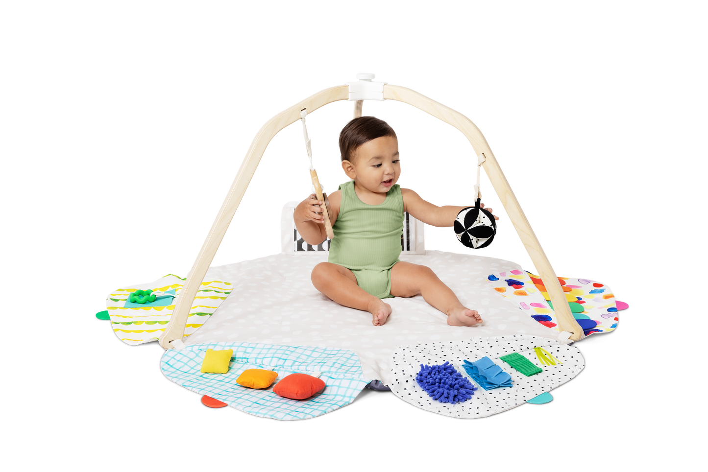 The Ultimate Play Gym