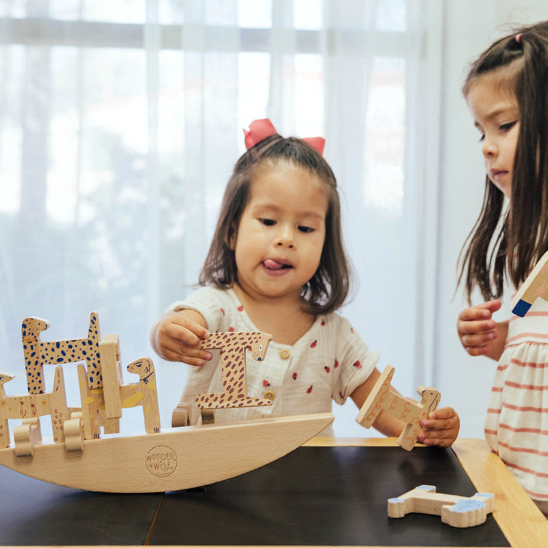 Montessori Balancing Game