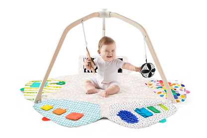 The Ultimate Play Gym