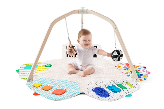 The Ultimate Play Gym