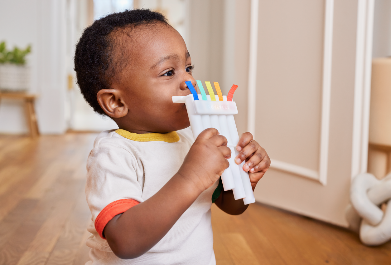The Montessori Music Set