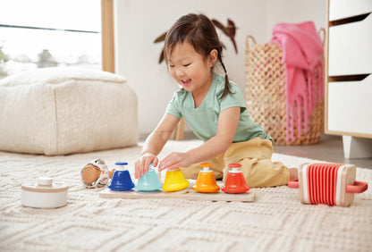 The Montessori Music Set