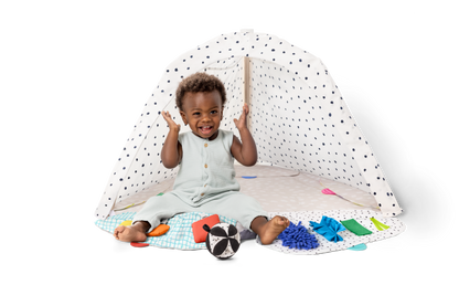 The Ultimate Play Gym