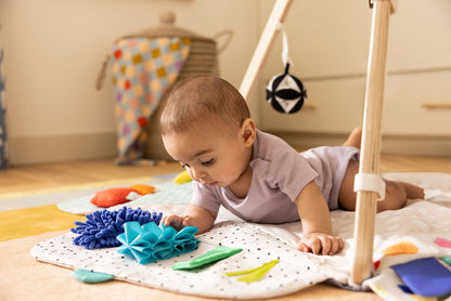The Ultimate Play Gym