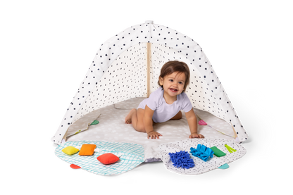 The Ultimate Play Gym