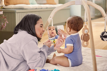 The Ultimate Play Gym