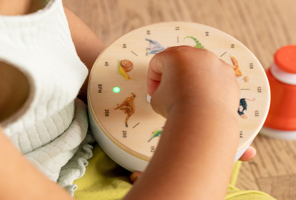The Montessori Music Set