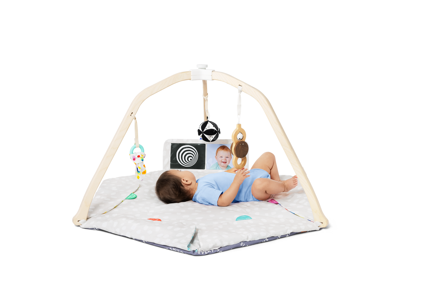 The Ultimate Play Gym