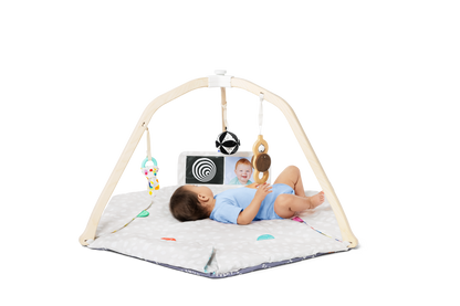 The Ultimate Play Gym