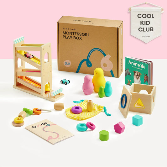 Montessori Toys Set for Toddlers (16-18 month)