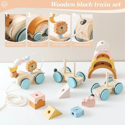 Wooden Pulley Train Play Set