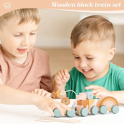 Wooden Pulley Train Play Set