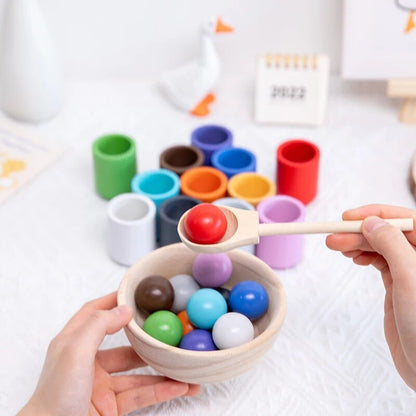 Wooden Rainbow Sorter