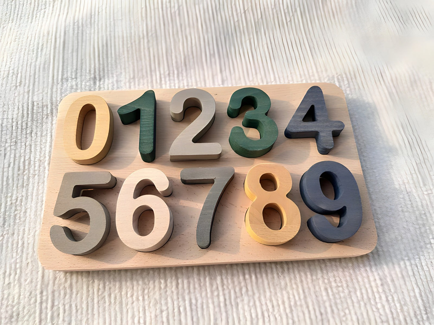 Montessori Wooden Puzzles