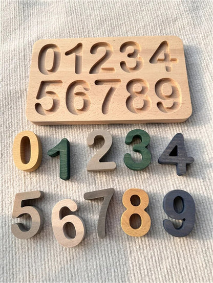 Montessori Wooden Puzzles