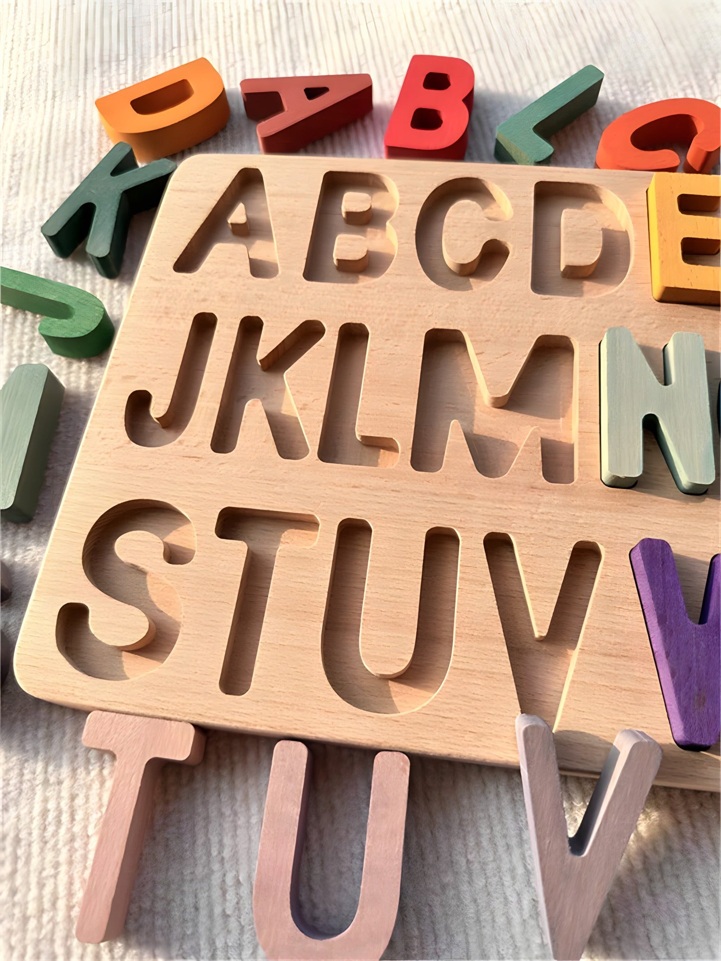 Montessori Wooden Puzzles