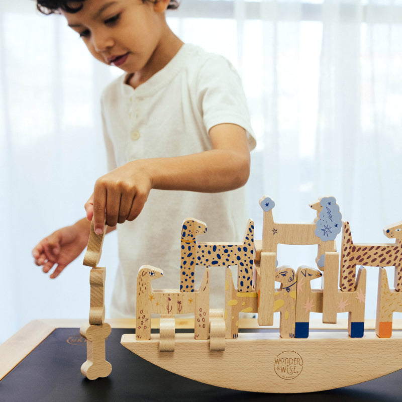 Montessori Balancing Game