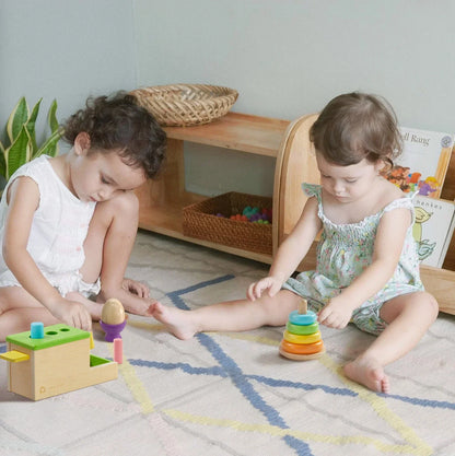 Montessori Toys Set for Infants (10-12 Months)