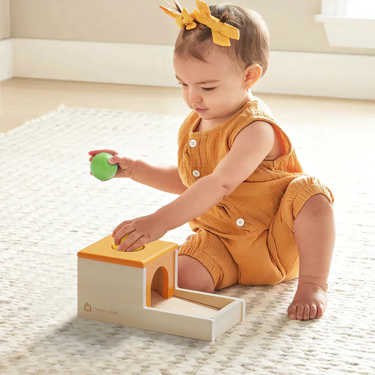 Montessori Toys Set for Infants (10-12 Months)