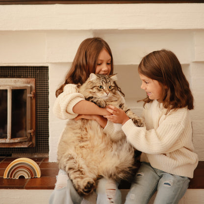 Danish Rainbow Stacker